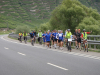 resize_Hospizlauf (1158)