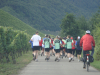 resize_Hospizlauf (1270)