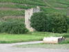 P1000386
